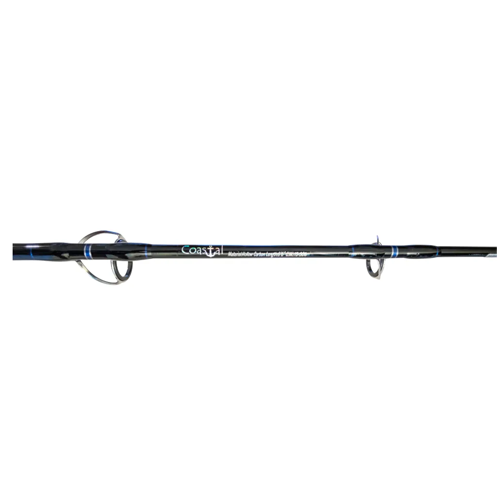 15-50lb Turbo Guide Spinning Rod "Sailfish"