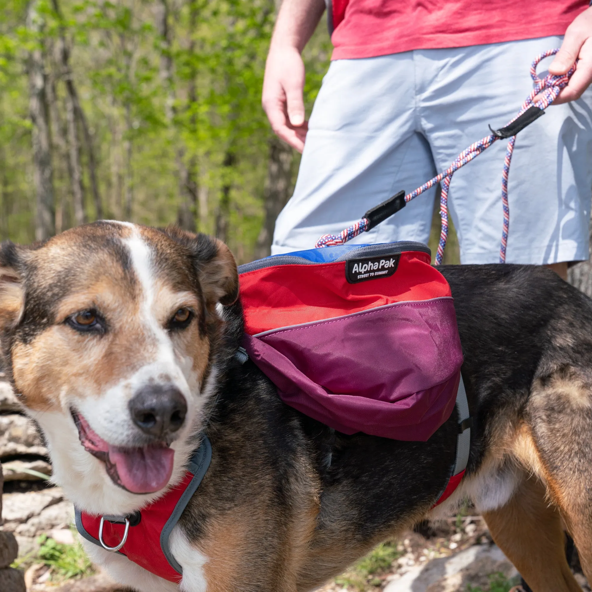 Adventurer 2-piece Dog Pack With EZ Latch™  Harness - SUNSET - WHOLESALE