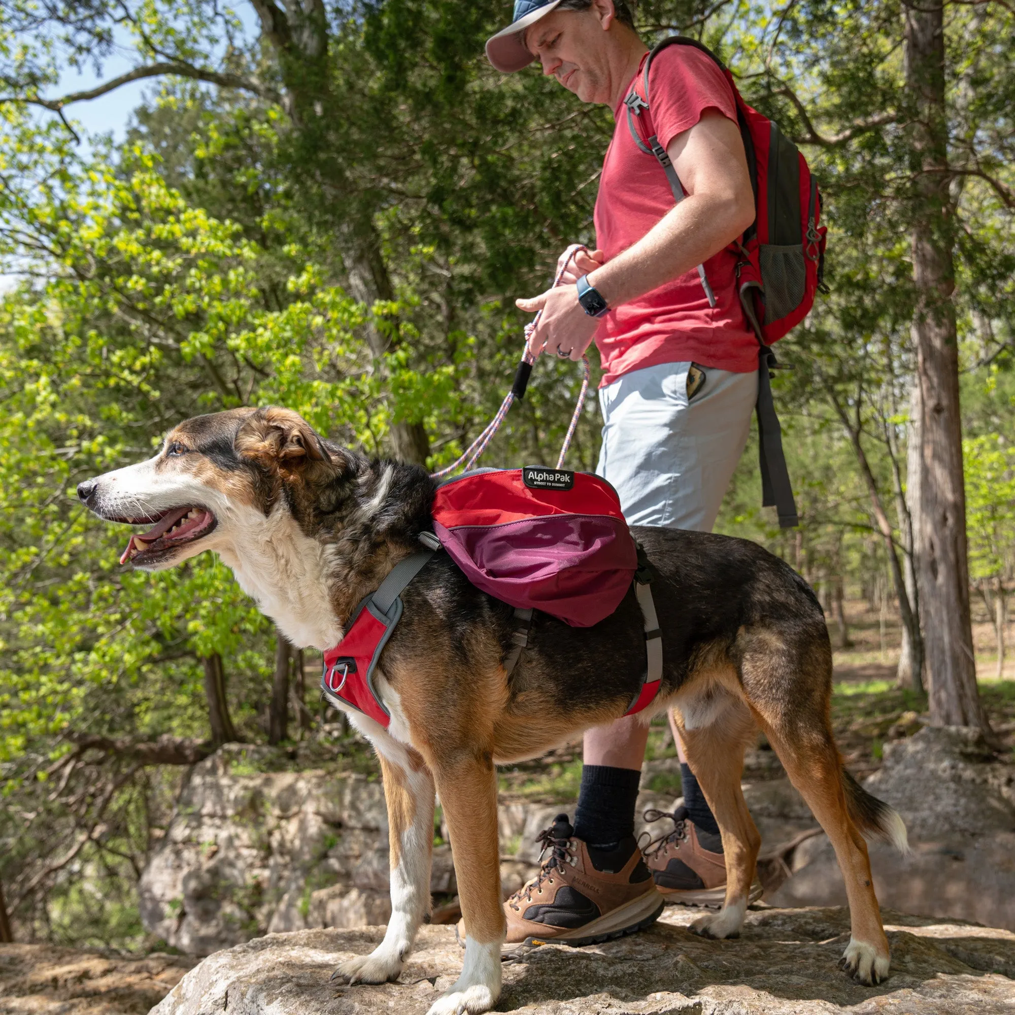 Adventurer 2-piece Dog Pack With EZ Latch™  Harness - SUNSET - WHOLESALE