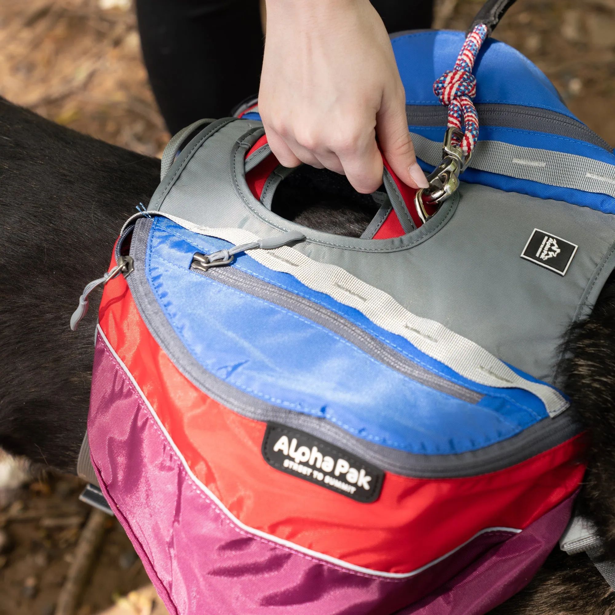 Adventurer 2-piece Dog Pack With EZ Latch™  Harness - SUNSET - WHOLESALE