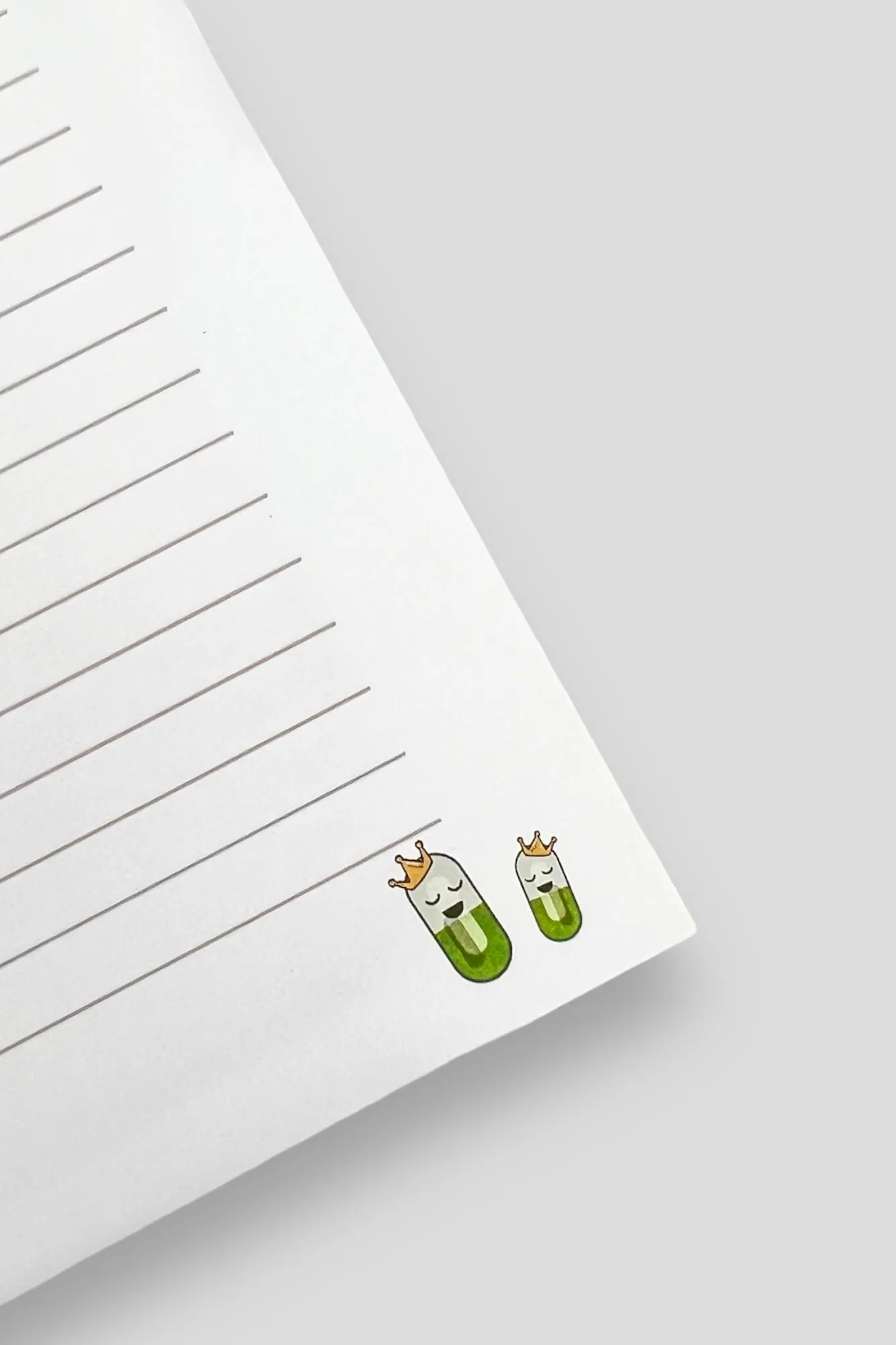 Antibiotics Notebook