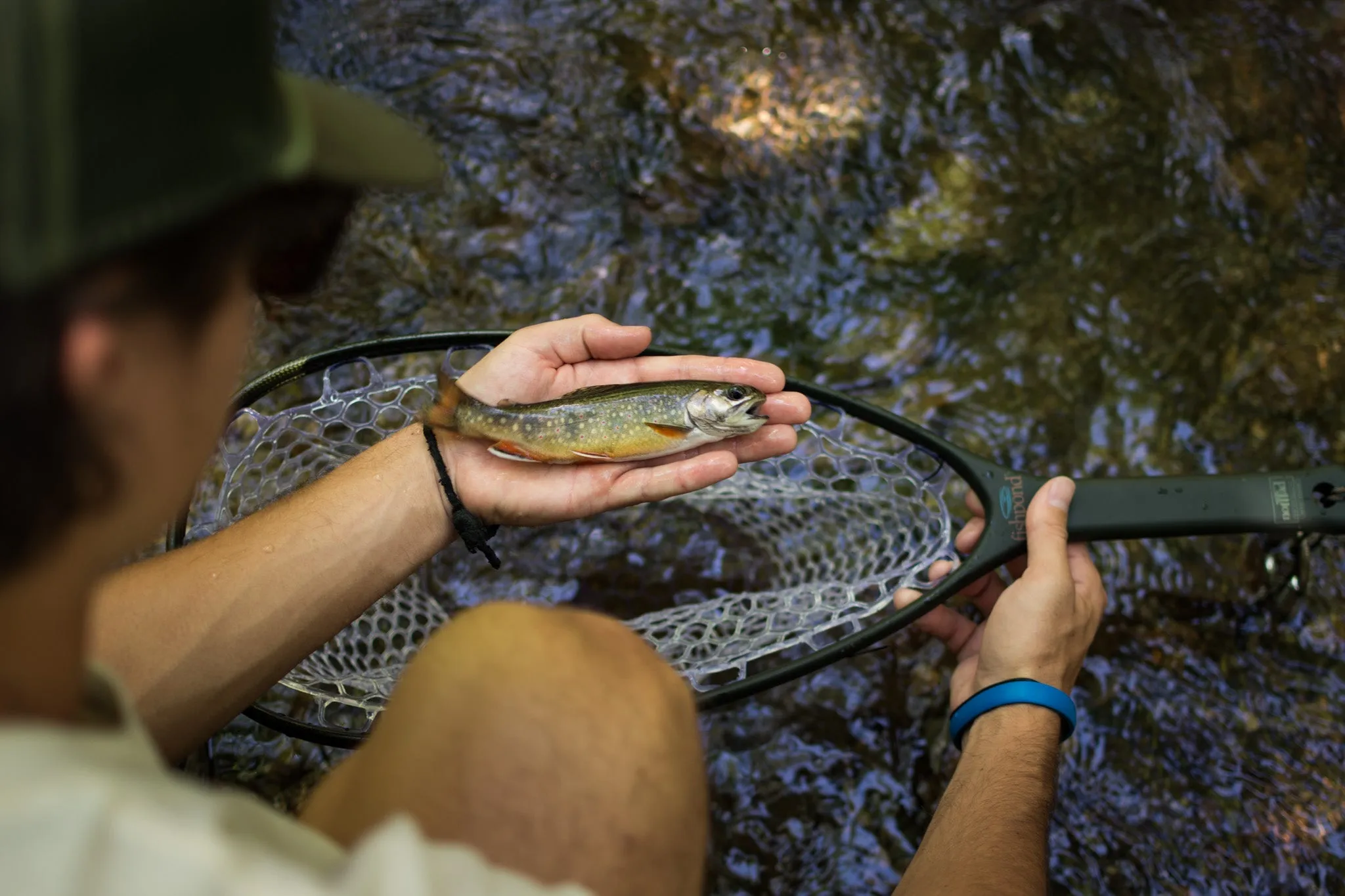 Fishpond Nomad Native Net