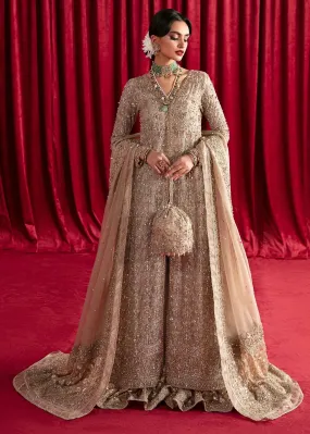 Sajni Luxury Formal '23 - Kavya