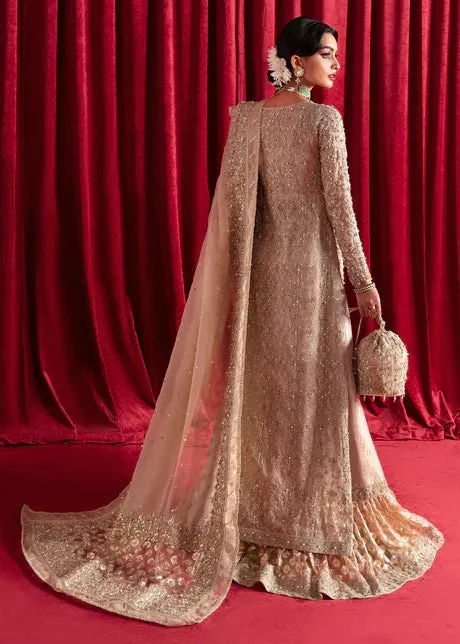 Sajni Luxury Formal '23 - Kavya